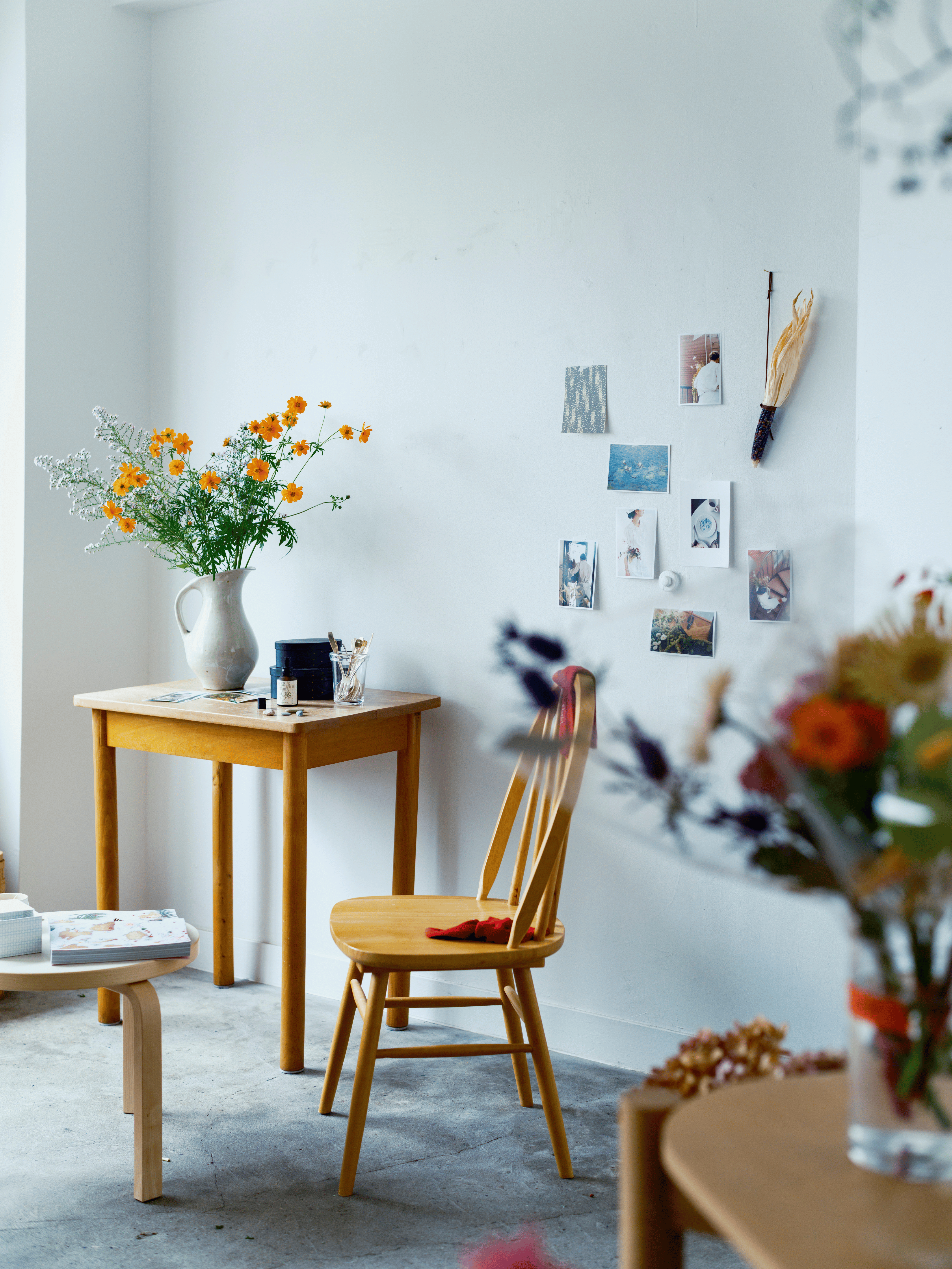 POTS HOUSE -PLANTS AND US-